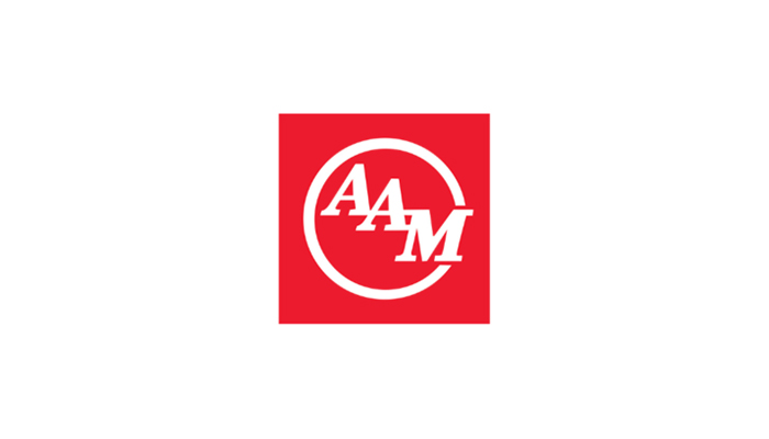 , American Axle &amp; Manufacturing Holdings Inc