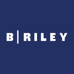 B. Riley Financial Inc (RILY): Soluciones Financieras Integrales ...