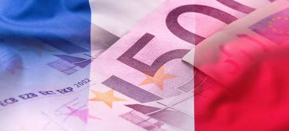 , Manual de Supervivencia Financiera para el Expatriado en Francia: De la Inercia Espa&ntilde;ola a la Optimizaci&oacute;n Francesa